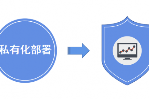 企业数据“贴身保镖”：私有化部署的低代码平台