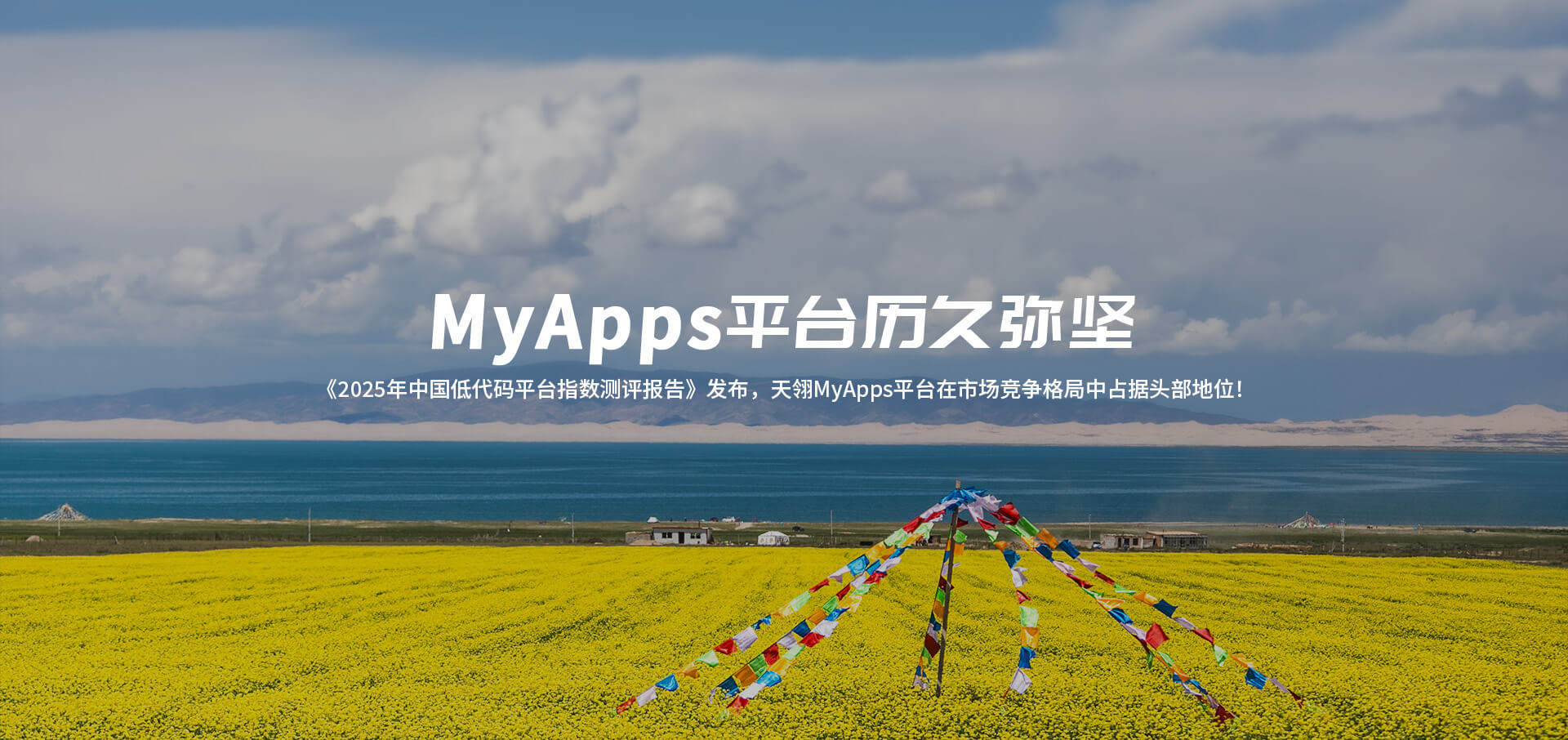 低代码开发平台