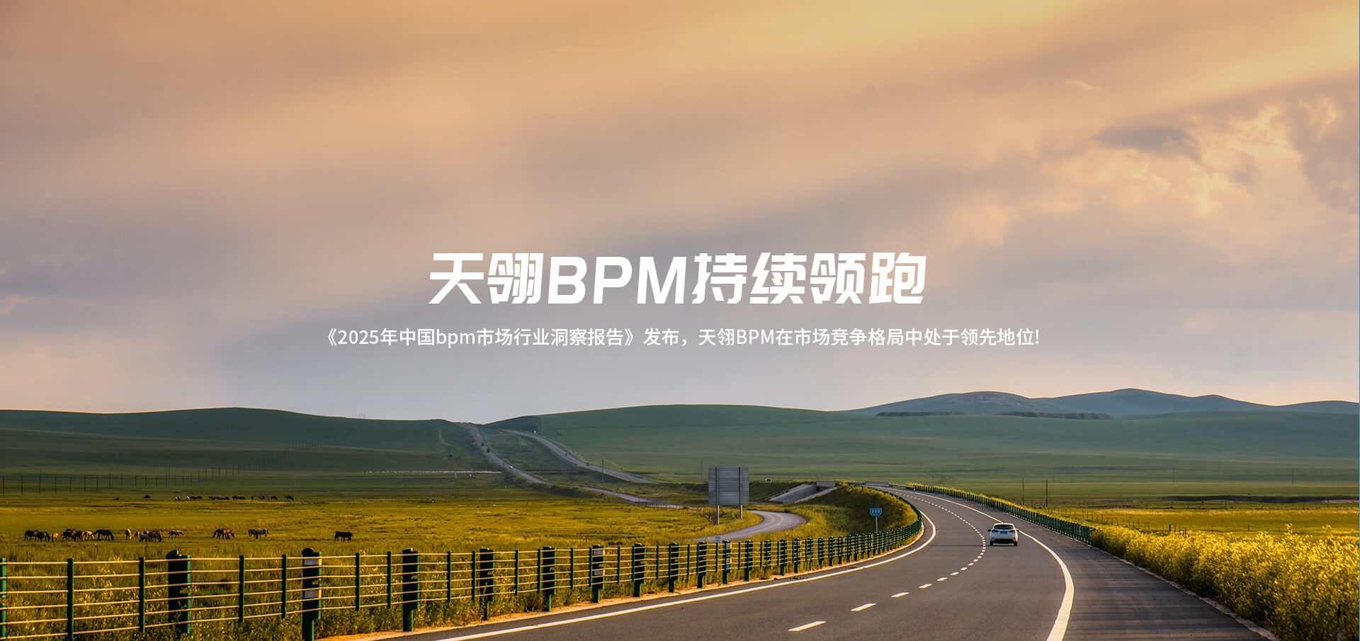 bpm行业报告