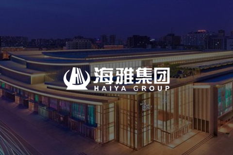 海雅集团