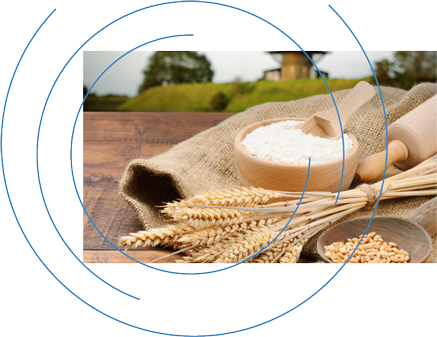 南阳海达电脑培训服务中心 - 面粉厂进销存系统