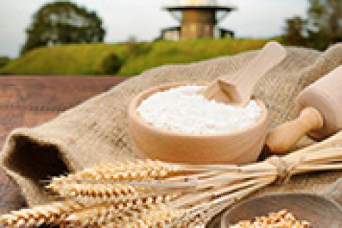 南阳海达电脑培训服务中心 - 面粉厂进销存系统